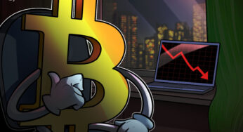 Why the crypto market crash may play in Bitcoin’s favour